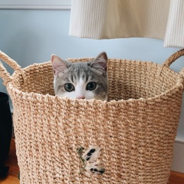 At Civic Square, your pets aren’t just welcome, they’re part of the community.